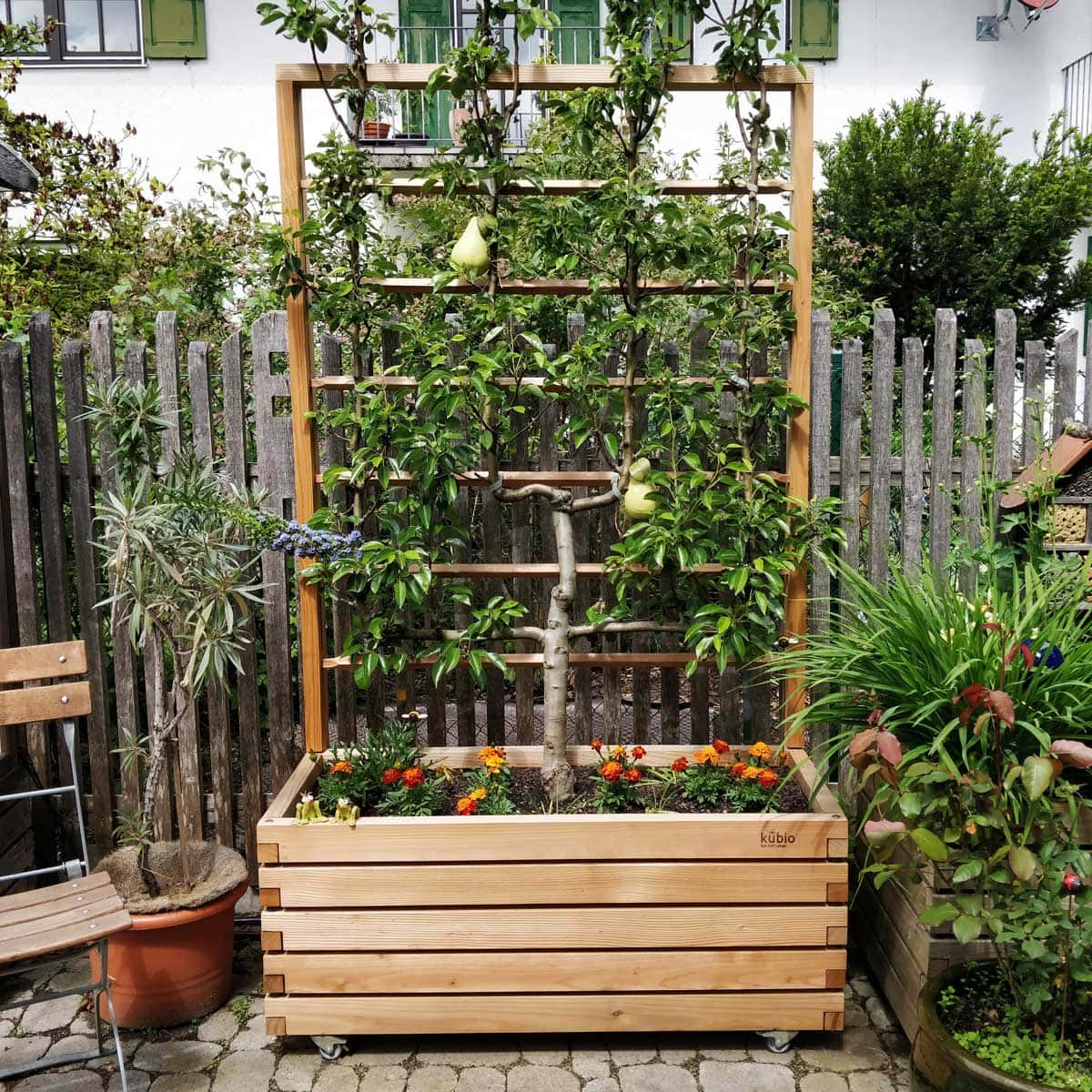 Holzspalier aus haltbarem Lärchenholz