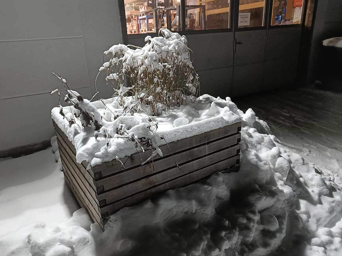 Terrassenteich im Winter