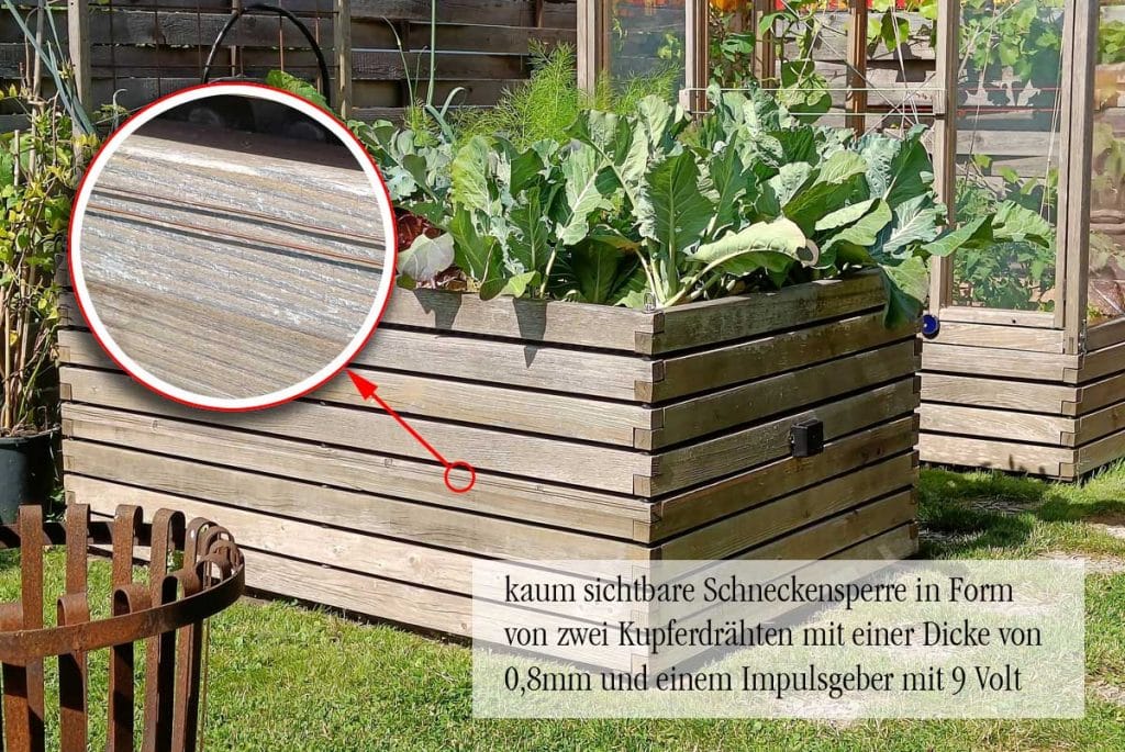 Hochbeet mit einem elektrischen Schneckenzaun