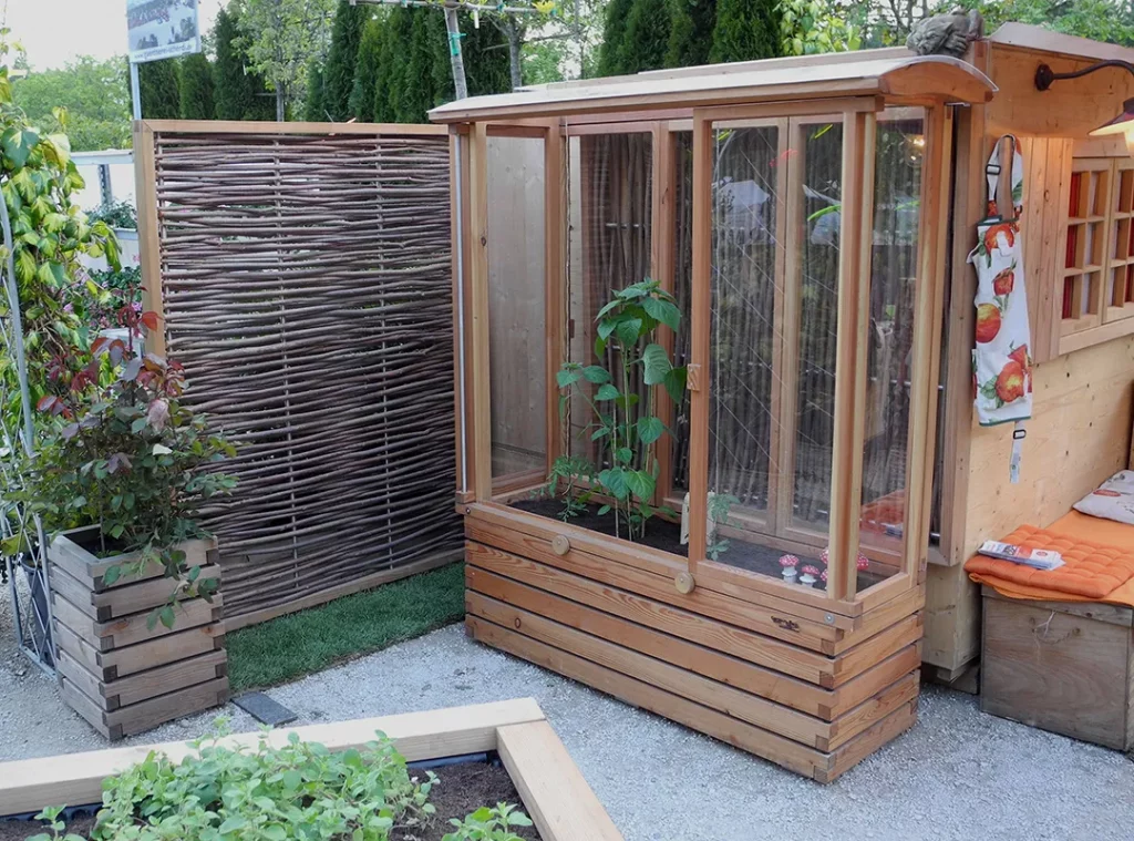 Tomatentram mit junger Pflanze