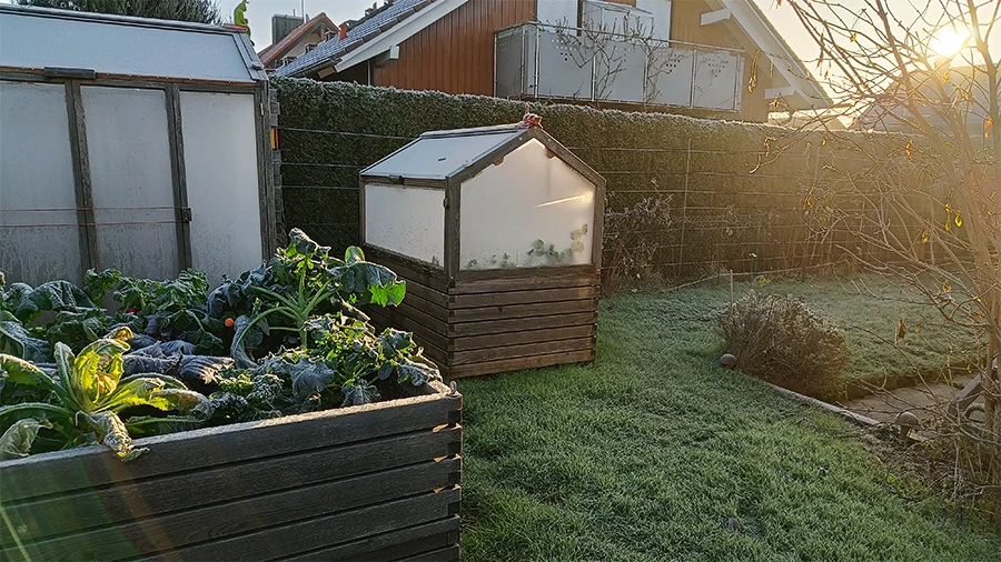 Hochbeete mit Frost und Abendsonne