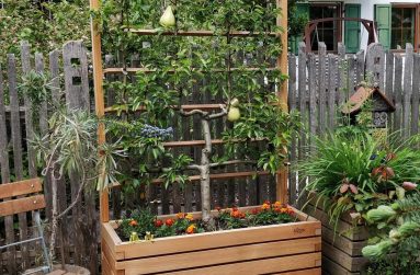 Rankhilfe aus haltbarem Lärchenholz